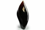 Tall, Free-Standing Polished Indonesian Blue Amber #311499-1